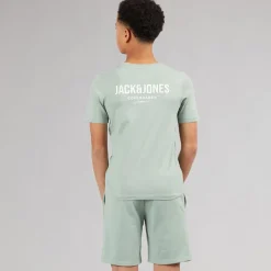 Drenge Jeff Orion T-shirt og shorts sæt Iceberg Green