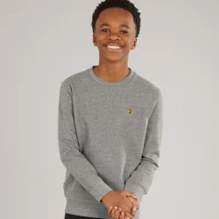 Drenge The Runner Sweatshirts Grå