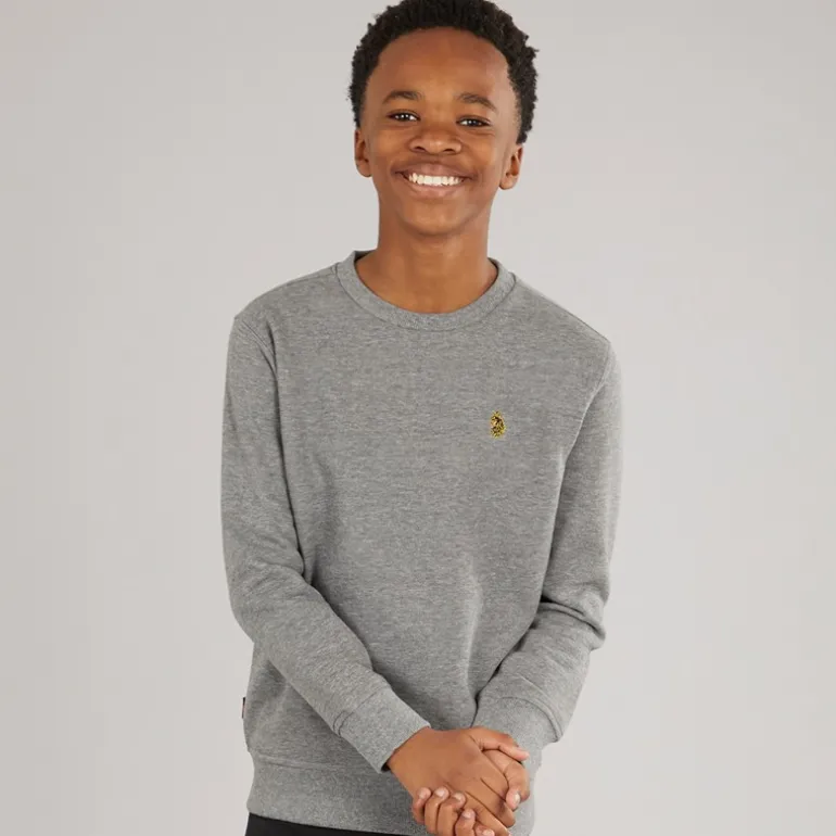 Drenge The Runner Sweatshirts Grå