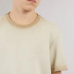 Drenge Tilmo Liv T-shirt Chinchilla