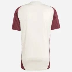 Herre FCB FC Bayern München Champions League Træningstrøje Linen/​Shadow Red