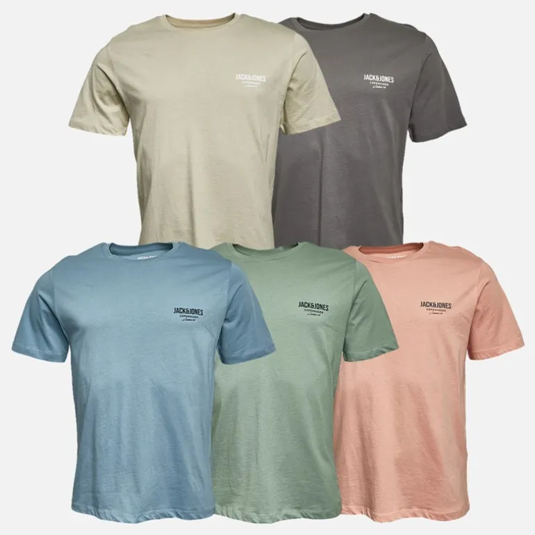 Herre Jeff Orion T-shirts 5-pak Moonbeam/Castlerock/Mountain Spring/Coral Almond/Iceberg Green