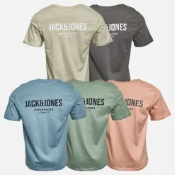 Herre Jeff Orion T-shirts 5-pak Moonbeam/​Castlerock/​Mountain Spring/​Coral Almond/​Iceberg Green